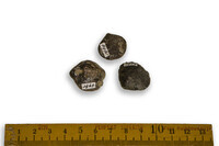 F 01469
<br/>
<br/>
<em></em>